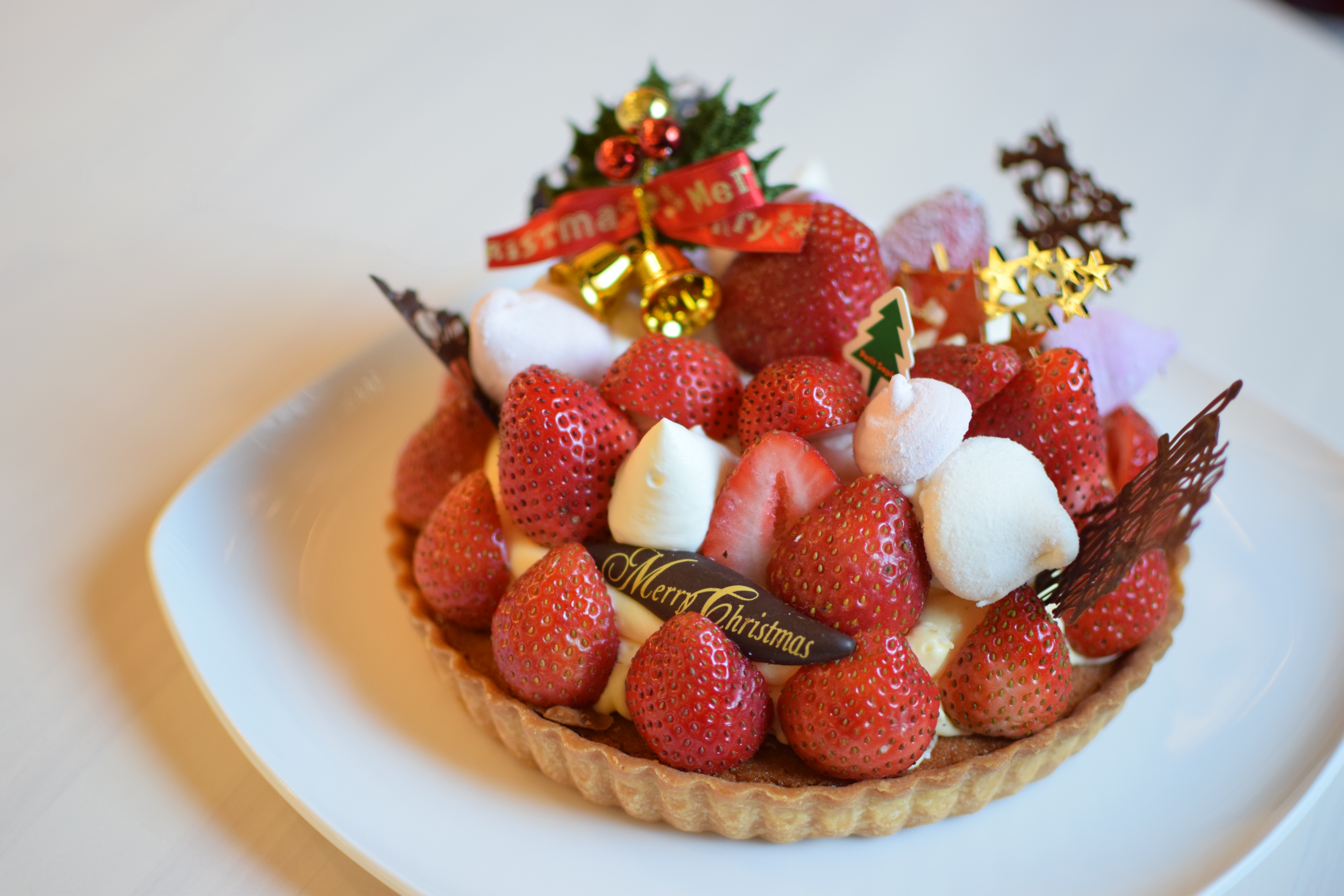 年クリスマスケーキの御紹介 3 ピスタチオムースとたっぷりイチゴタルト Petit Sapin